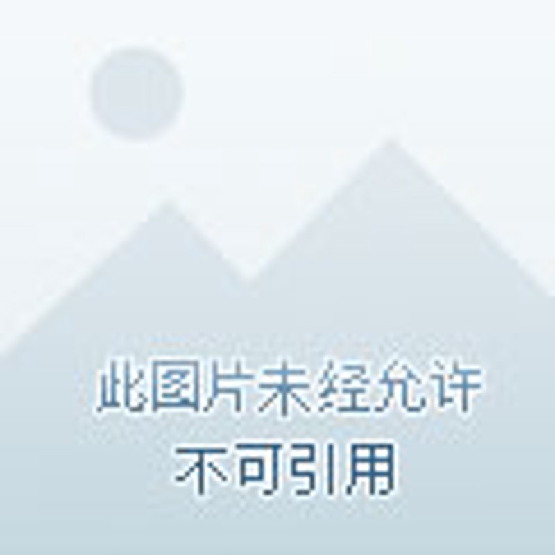 绥化网络推广:让您的品牌驶向数字化浪潮